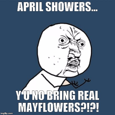 Y U No | APRIL SHOWERS... Y U NO BRING REAL MAYFLOWERS?!?! | image tagged in memes,y u no | made w/ Imgflip meme maker