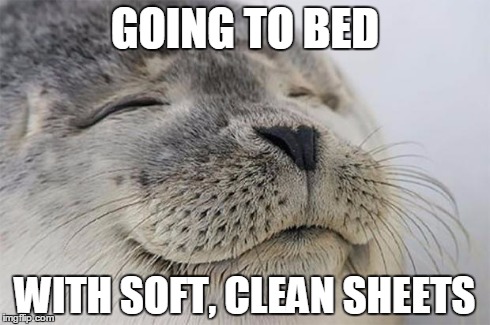 After changing the sheets | GOING TO BED WITH SOFT, CLEAN SHEETS | image tagged in memes,satisfied seal | made w/ Imgflip meme maker