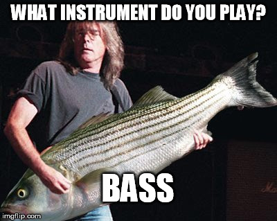 Bass player | WHAT INSTRUMENT DO YOU PLAY? BASS | image tagged in bass,music,funny | made w/ Imgflip meme maker