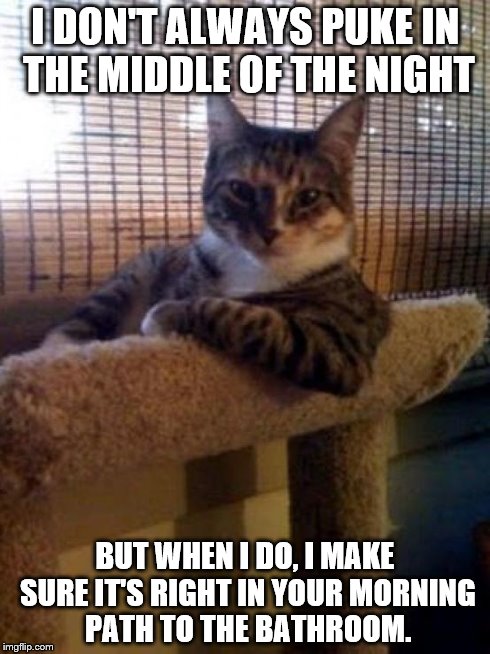 The Most Interesting Cat In The World | I DON'T ALWAYS PUKE IN THE MIDDLE OF THE NIGHT BUT WHEN I DO, I MAKE SURE IT'S RIGHT IN YOUR MORNING PATH TO THE BATHROOM. | image tagged in memes,the most interesting cat in the world | made w/ Imgflip meme maker