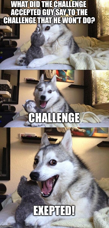 Bad Pun Dog Meme | WHAT DID THE CHALLENGE ACCEPTED GUY SAY TO THE CHALLENGE THAT HE WON'T DO? CHALLENGE EXEPTED! | image tagged in memes,bad pun dog | made w/ Imgflip meme maker