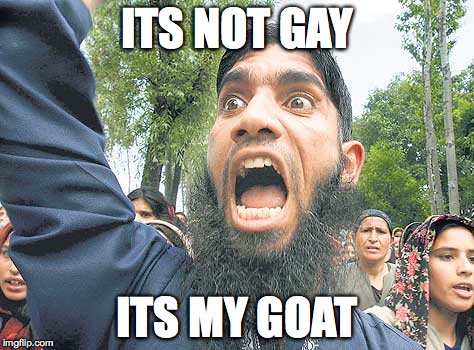 Goat | ITS NOT GAY ITS MY GOAT | image tagged in memes,funny memes,arab | made w/ Imgflip meme maker