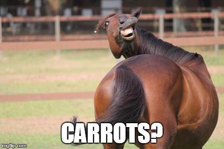 CARROTS? | image tagged in carrots | made w/ Imgflip meme maker