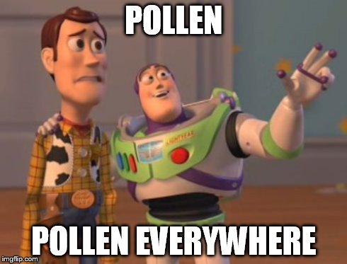 X, X Everywhere Meme | POLLEN POLLEN EVERYWHERE | image tagged in memes,x x everywhere | made w/ Imgflip meme maker