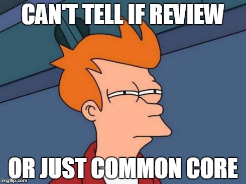 CAN'T TELL IF REVIEW OR JUST COMMON CORE | image tagged in memes,futurama fry | made w/ Imgflip meme maker