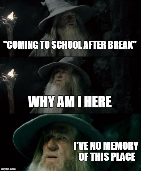 Confused Gandalf Meme | "COMING TO SCHOOL AFTER BREAK" WHY AM I HERE I'VE NO MEMORY OF THIS PLACE | image tagged in memes,confused gandalf | made w/ Imgflip meme maker