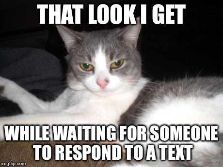 Impatient Kitty | THAT LOOK I GET WHILE WAITING FOR SOMEONE TO RESPOND TO A TEXT | image tagged in impatient kitty | made w/ Imgflip meme maker