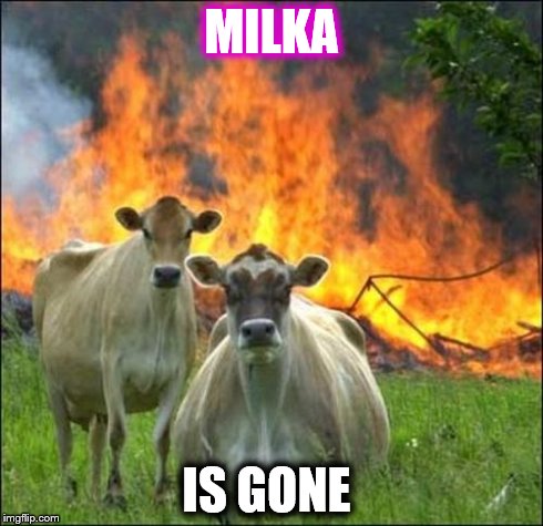 Evil Cows | MILKA IS GONE | image tagged in memes,evil cows | made w/ Imgflip meme maker
