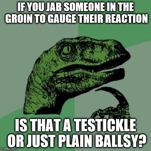 Philosoraptor | IF YOU JAB SOMEONE IN THE GROIN TO GAUGE THEIR REACTION IS THAT A TESTICKLE OR JUST PLAIN BALLSY? | image tagged in memes,philosoraptor | made w/ Imgflip meme maker
