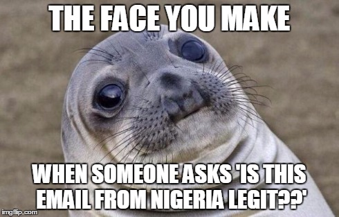 Awkward IT Sealion | THE FACE YOU MAKE WHEN SOMEONE ASKS 'IS THIS EMAIL FROM NIGERIA LEGIT??' | image tagged in memes,awkward moment sealion,it meme | made w/ Imgflip meme maker