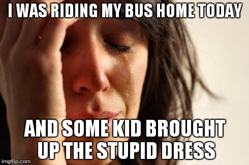 First World Problems Meme | I WAS RIDING MY BUS HOME TODAY AND SOME KID BROUGHT UP THE STUPID DRESS | image tagged in memes,first world problems | made w/ Imgflip meme maker