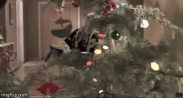 Santa pls | image tagged in gifs,christmas | made w/ Imgflip video-to-gif maker