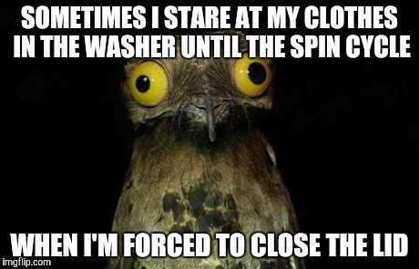 Its mesmerizing | SOMETIMES I STARE AT MY CLOTHES IN THE WASHER UNTIL THE SPIN CYCLE WHEN I'M FORCED TO CLOSE THE LID | image tagged in memes,weird stuff i do potoo | made w/ Imgflip meme maker