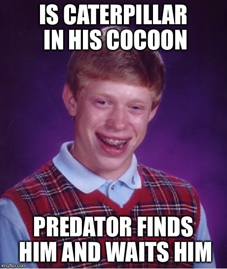 Bad Luck Brian Meme | IS CATERPILLAR IN HIS COCOON PREDATOR FINDS HIM AND WAITS HIM | image tagged in memes,bad luck brian | made w/ Imgflip meme maker