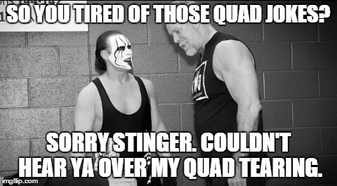 well would you hear it when your quad tears? | SO YOU TIRED OF THOSE QUAD JOKES? SORRY STINGER. COULDN'T HEAR YA OVER MY QUAD TEARING. | image tagged in sting,kevin nash,wrestling,funny meme | made w/ Imgflip meme maker