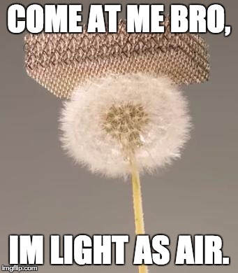 COME AT ME BRO, IM LIGHT AS AIR. | image tagged in lightest material ever | made w/ Imgflip meme maker