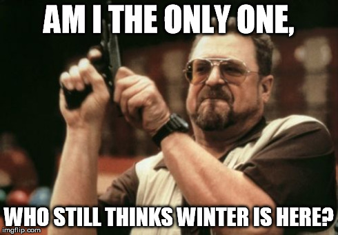 Am I The Only One Around Here | AM I THE ONLY ONE, WHO STILL THINKS WINTER IS HERE? | image tagged in memes,am i the only one around here | made w/ Imgflip meme maker