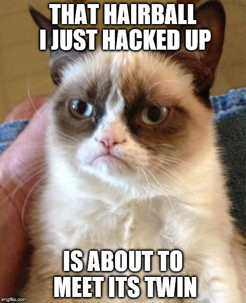 Grumpy Cat | THAT HAIRBALL I JUST HACKED UP IS ABOUT TO MEET ITS TWIN | image tagged in memes,grumpy cat | made w/ Imgflip meme maker