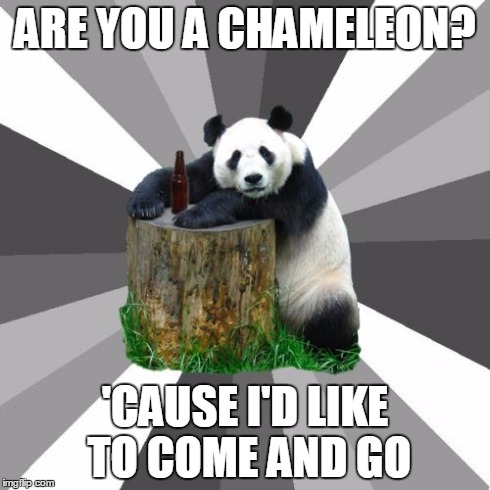 Karma Chameleon | ARE YOU A CHAMELEON? 'CAUSE I'D LIKE TO COME AND GO | image tagged in memes,pickup line panda | made w/ Imgflip meme maker