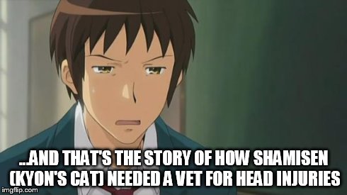 Kyon WTF | ...AND THAT'S THE STORY OF HOW SHAMISEN (KYON'S CAT) NEEDED A VET FOR HEAD INJURIES | image tagged in kyon wtf | made w/ Imgflip meme maker