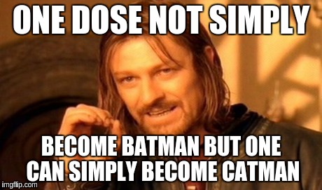 One Does Not Simply Meme | ONE DOSE NOT SIMPLY BECOME BATMAN BUT ONE CAN SIMPLY BECOME CATMAN | image tagged in memes,one does not simply | made w/ Imgflip meme maker