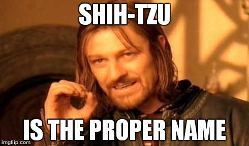 One Does Not Simply Meme | SHIH-TZU IS THE PROPER NAME | image tagged in memes,one does not simply | made w/ Imgflip meme maker