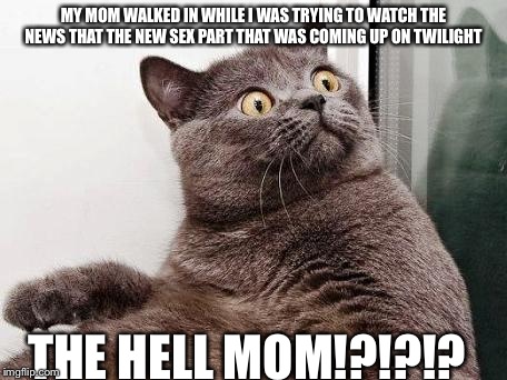 THE HELL cat | MY MOM WALKED IN WHILE I WAS TRYING TO WATCH THE NEWS THAT THE NEW SEX PART THAT WAS COMING UP ON TWILIGHT THE HELL MOM!?!?!? | image tagged in the hell cat | made w/ Imgflip meme maker