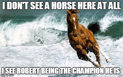 I DON'T SEE A HORSE HERE AT ALL I SEE ROBERT BEING THE CHAMPION HE IS | image tagged in horses | made w/ Imgflip meme maker