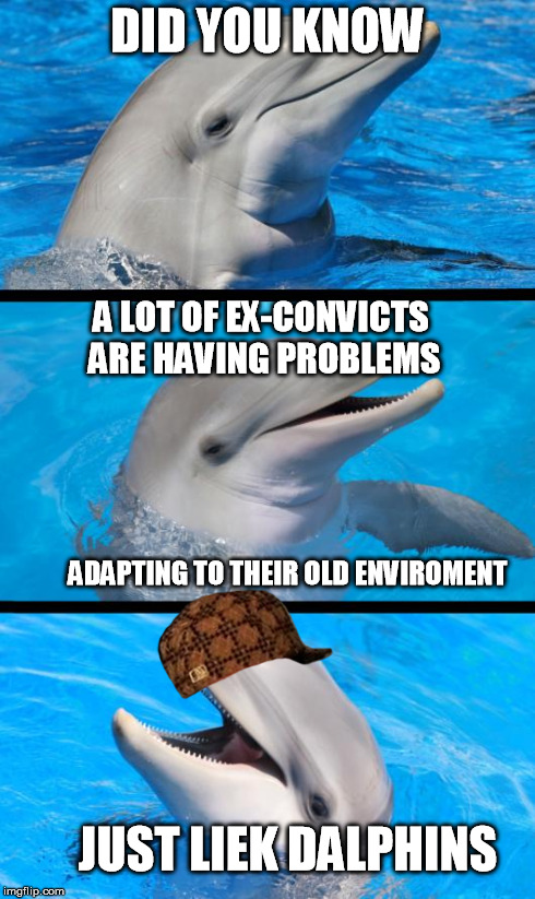 Gangster Similarities, I guess? | DID YOU KNOW A LOT OF EX-CONVICTS ARE HAVING PROBLEMS ADAPTING TO THEIR OLD ENVIROMENT JUST LIEK DALPHINS | image tagged in gangster dolphins,gangster traits,faint of gangster,rehabilitation  gangster,ok,memes | made w/ Imgflip meme maker