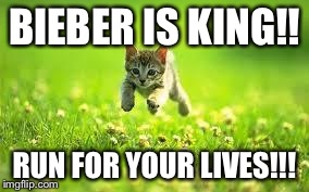 RUN FOR YOUR LIVES cat | BIEBER IS KING!! RUN FOR YOUR LIVES!!! | image tagged in run for your lives cat | made w/ Imgflip meme maker