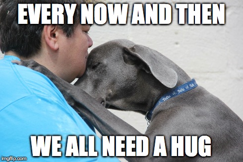 EVERY NOW AND THEN WE ALL NEED A HUG | made w/ Imgflip meme maker