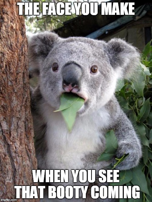 Surprised Koala | THE FACE YOU MAKE WHEN YOU SEE THAT BOOTY COMING | image tagged in memes,surprised koala | made w/ Imgflip meme maker