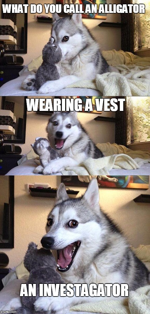 Bad Pun Dog | WHAT DO YOU CALL AN ALLIGATOR WEARING A VEST AN INVESTAGATOR | image tagged in memes,bad pun dog | made w/ Imgflip meme maker