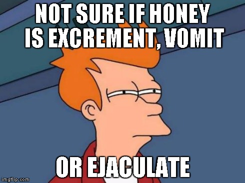 Futurama Fry Meme | NOT SURE IF HONEY IS EXCREMENT, VOMIT OR EJACULATE | image tagged in memes,futurama fry | made w/ Imgflip meme maker
