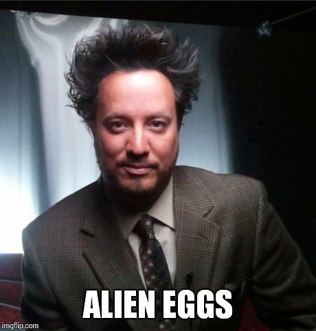 ancient aliens | ALIEN EGGS | image tagged in ancient aliens | made w/ Imgflip meme maker