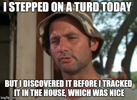 So I Got That Goin For Me Which Is Nice | I STEPPED ON A TURD TODAY BUT I DISCOVERED IT BEFORE I TRACKED IT IN THE HOUSE, WHICH WAS NICE | image tagged in memes,so i got that goin for me which is nice | made w/ Imgflip meme maker