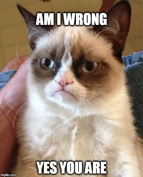Grumpy Cat Meme | AM I WRONG YES YOU ARE | image tagged in memes,grumpy cat | made w/ Imgflip meme maker