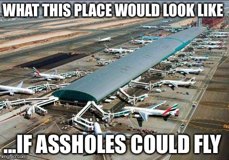 WHAT THIS PLACE WOULD LOOK LIKE ...IF ASSHOLES COULD FLY | image tagged in asshole,flying,insult | made w/ Imgflip meme maker