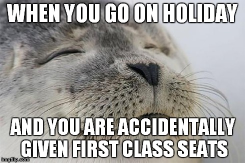 Satisfied Seal | WHEN YOU GO ON HOLIDAY AND YOU ARE ACCIDENTALLY GIVEN FIRST CLASS SEATS | image tagged in memes,satisfied seal | made w/ Imgflip meme maker