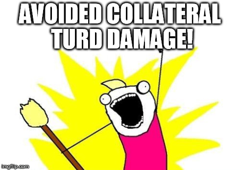 X All The Y Meme | AVOIDED COLLATERAL TURD DAMAGE! | image tagged in memes,x all the y | made w/ Imgflip meme maker