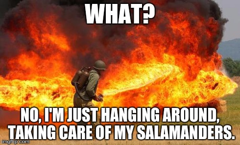 Nope flamethrower | WHAT? NO, I'M JUST HANGING AROUND, TAKING CARE OF MY SALAMANDERS. | image tagged in nope flamethrower | made w/ Imgflip meme maker