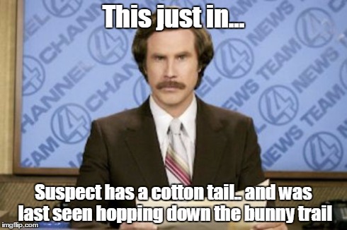 Ron Burgundy | This just in... Suspect has a cotton tail.. and was last seen hopping down the bunny trail | image tagged in memes,ron burgundy | made w/ Imgflip meme maker