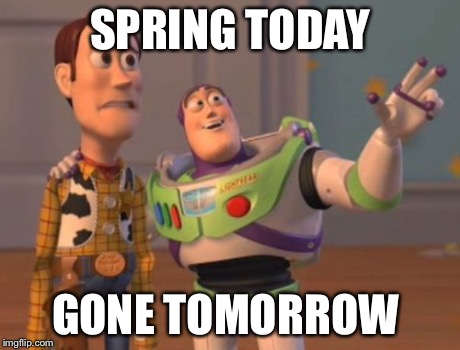 Spring is here...oops, just kidding.  | SPRING TODAY GONE TOMORROW | image tagged in memes,x x everywhere,funny,spring | made w/ Imgflip meme maker