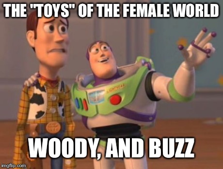 X, X Everywhere | THE "TOYS" OF THE FEMALE WORLD WOODY, AND BUZZ | image tagged in memes,x x everywhere | made w/ Imgflip meme maker