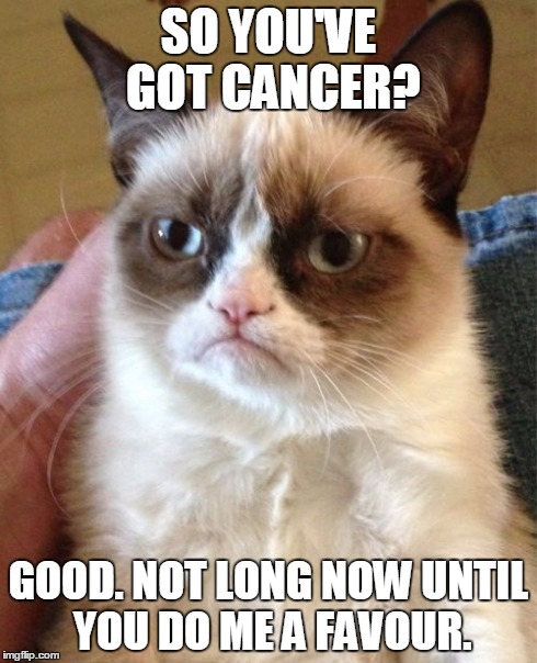 Grumpy Cat | SO YOU'VE GOT CANCER? GOOD. NOT LONG NOW UNTIL YOU DO ME A FAVOUR. | image tagged in memes,grumpy cat | made w/ Imgflip meme maker