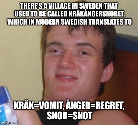 They changed the name though | THERE'S A VILLAGE IN SWEDEN THAT USED TO BE CALLED KRÄKÅNGERSNORET, WHICH IN MODERN SWEDISH TRANSLATES TO KRÄK=VOMIT, ÅNGER=REGRET, SNOR=SNO | image tagged in memes,10 guy | made w/ Imgflip meme maker