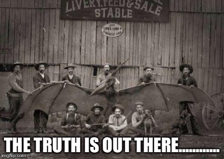 THE TRUTH IS OUT THERE............ | image tagged in teradactyl | made w/ Imgflip meme maker