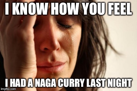 First World Problems Meme | I KNOW HOW YOU FEEL I HAD A NAGA CURRY LAST NIGHT | image tagged in memes,first world problems | made w/ Imgflip meme maker