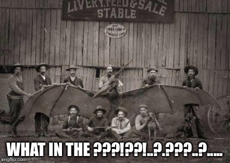 WHAT IN THE ???!??!..?.???..?..... | image tagged in teradactyl | made w/ Imgflip meme maker