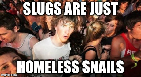 Sudden Clarity Clarence | SLUGS ARE JUST HOMELESS SNAILS | image tagged in memes,sudden clarity clarence,AdviceAnimals | made w/ Imgflip meme maker